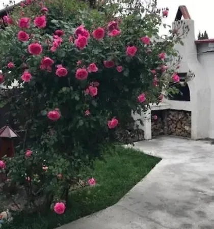 Casa Tibi Si Nico
